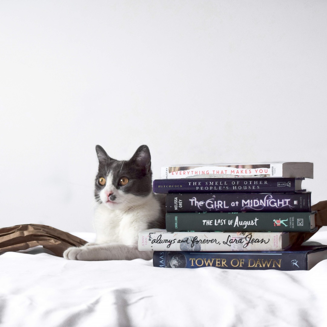 I think this was to share a book haul, it was certainly easier to keep Luci engaged with packaging material in the shot. Great minds think alike.